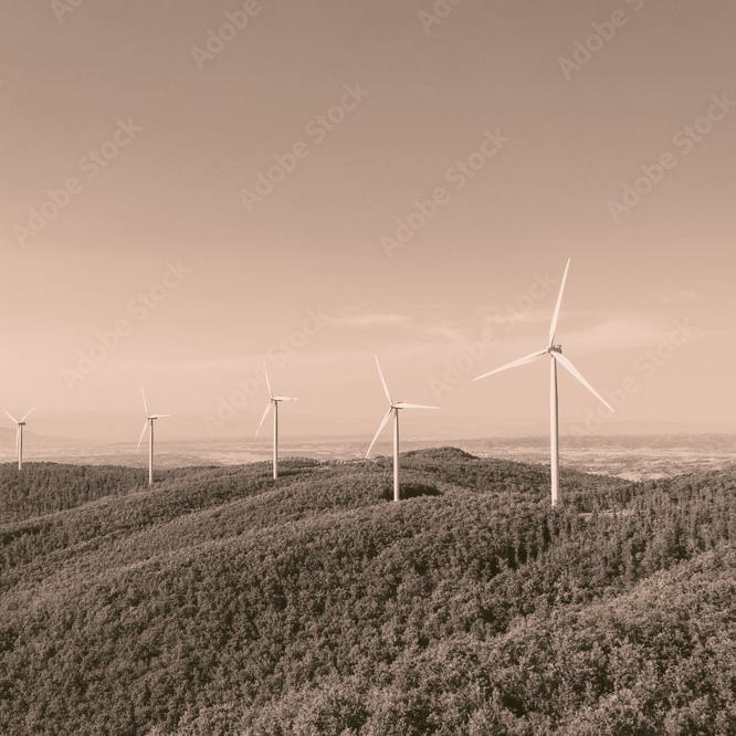 AdobeStock_276904330_Preview-Bichro