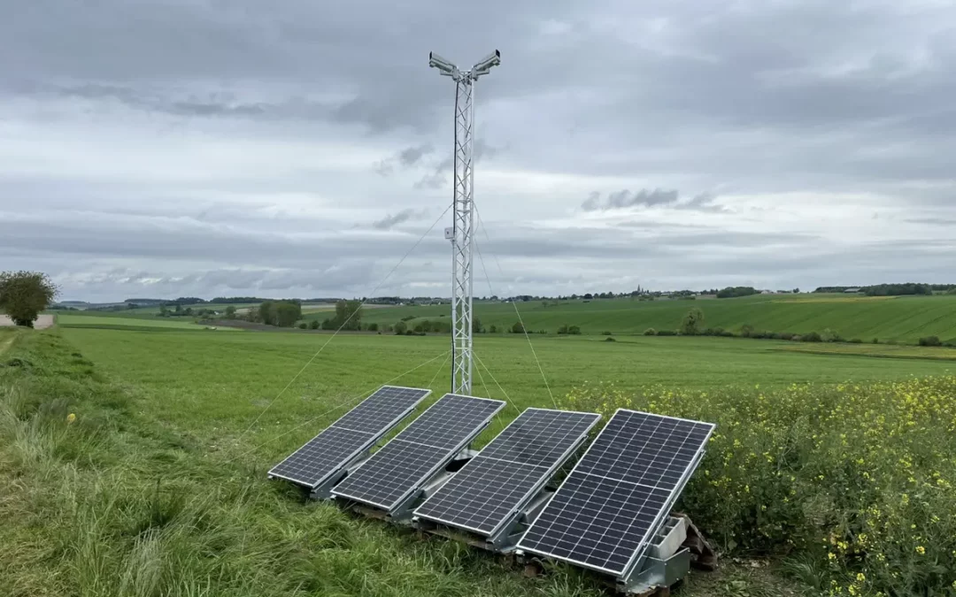 Étude Environnementale sur la Cigogne Noire pour un Parc Éolien
